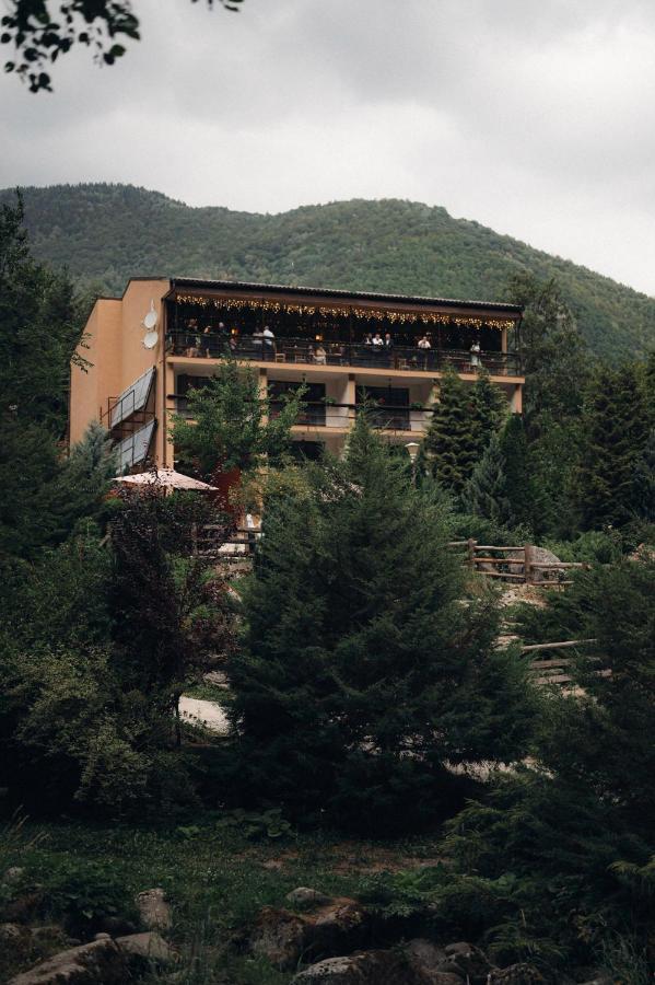 Pensiunea Retezat Rîu de Mori Exterior foto