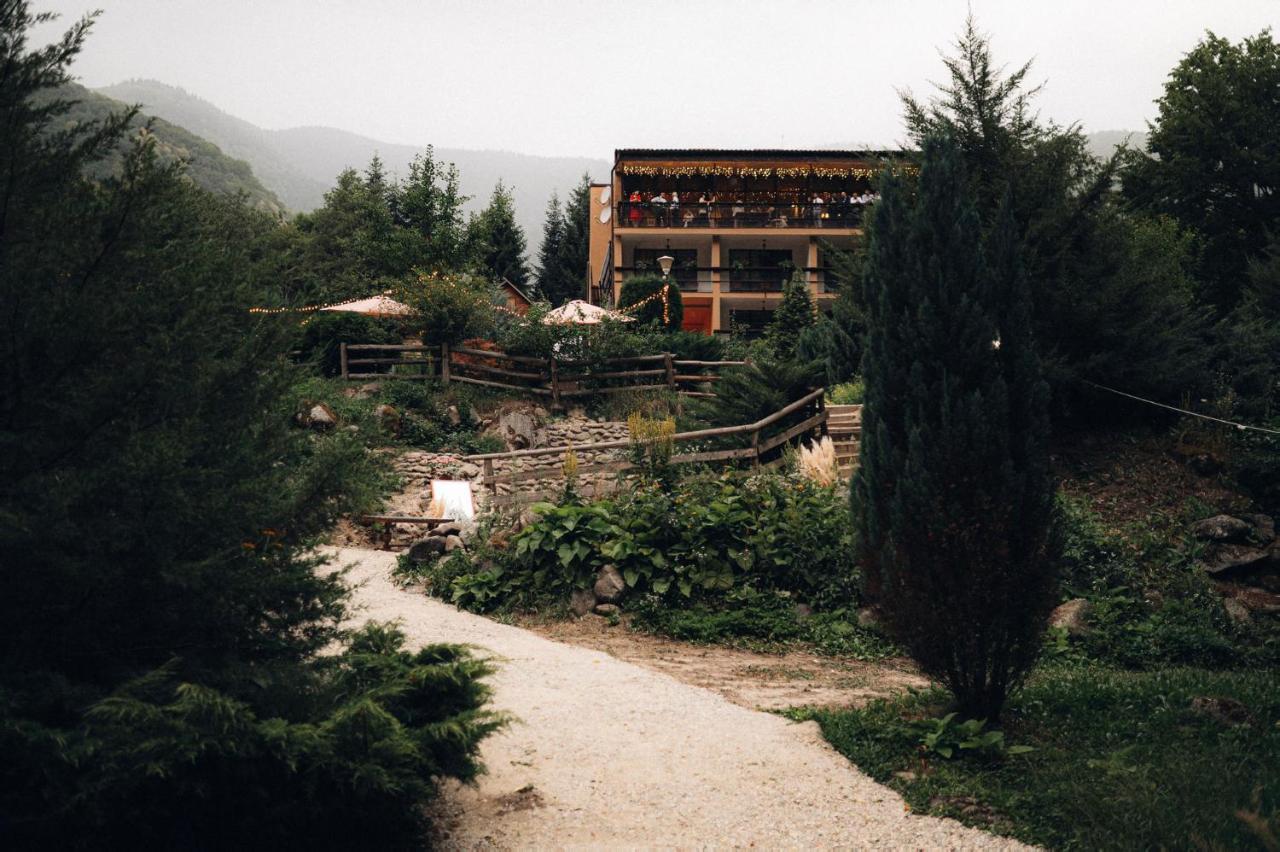 Pensiunea Retezat Rîu de Mori Exterior foto