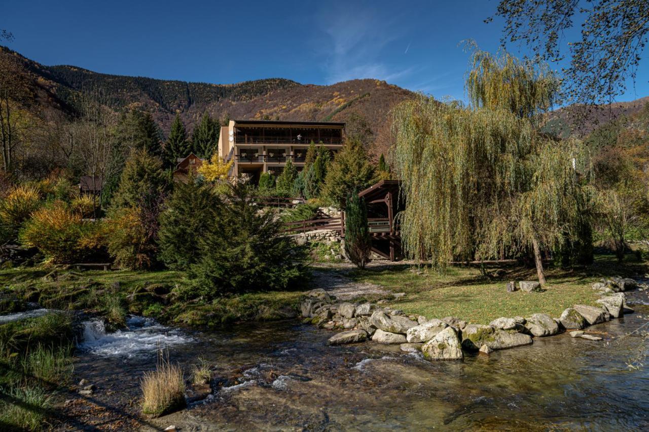 Pensiunea Retezat Rîu de Mori Exterior foto